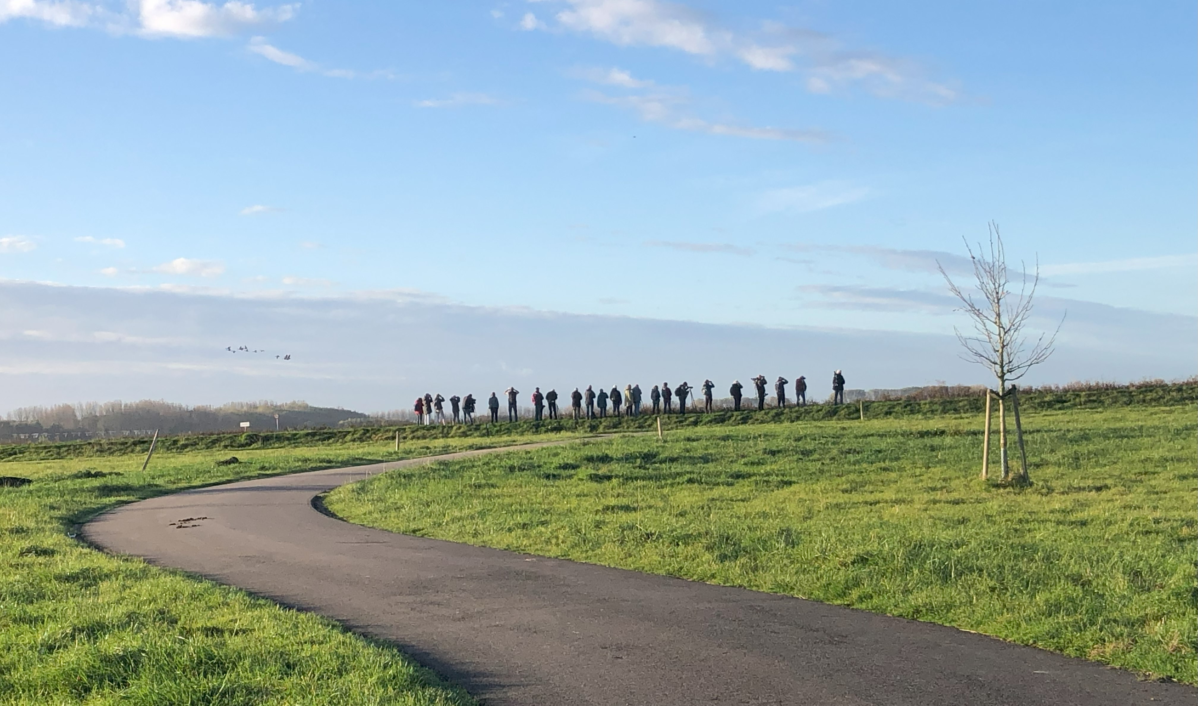 (Nieuwe Driemanspolder). Foto van Rob Eveleens.
Vogelaars